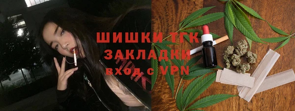 индика Алексеевка