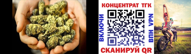 ТГК Wax  Салехард 
