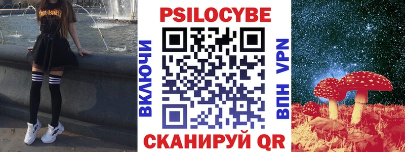 где купить наркоту  Салехард  Галлюциногенные грибы Psilocybe 