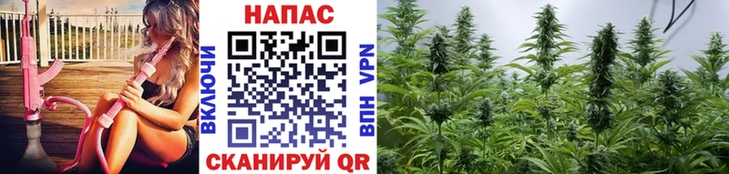 Бошки марихуана ГИДРОПОН Салехард